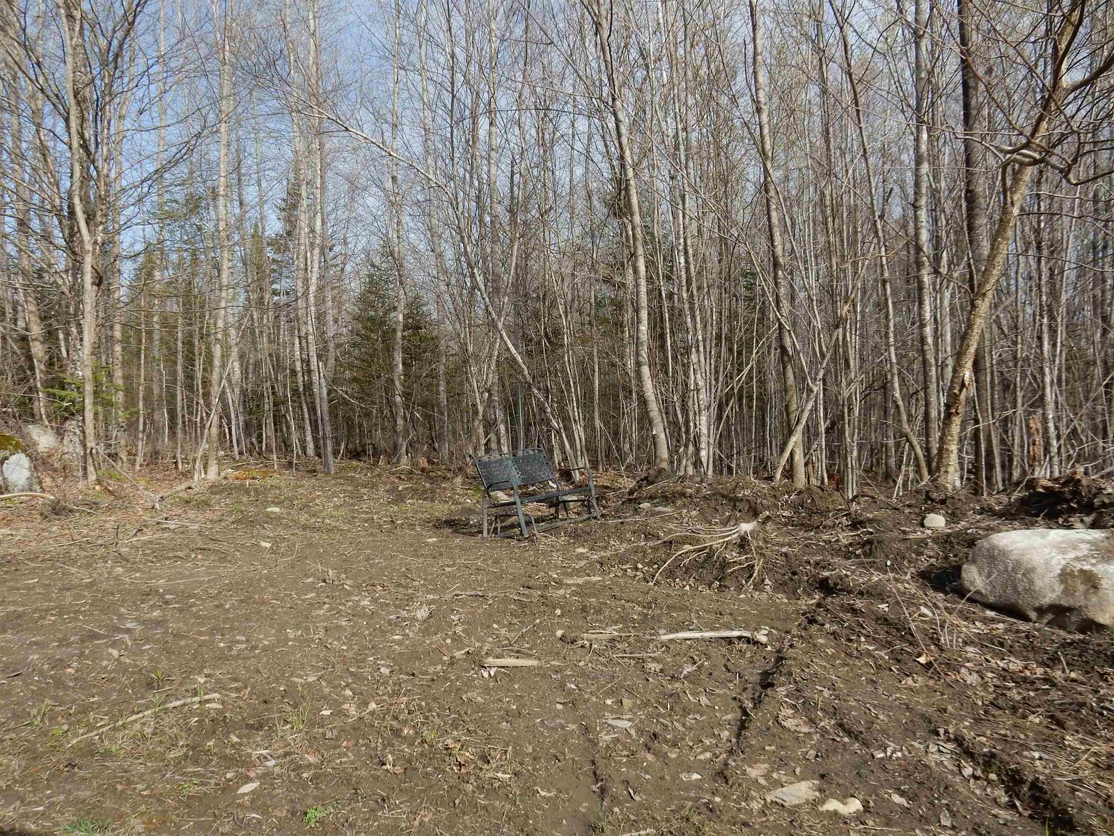 another wood area