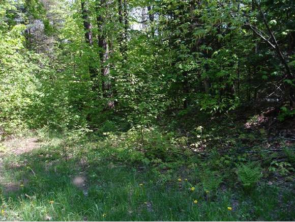 00 Camp Rd