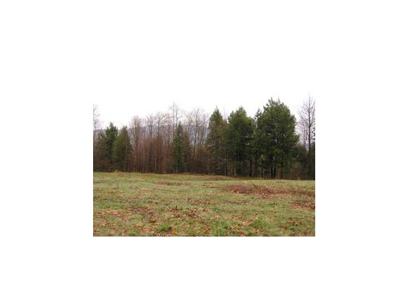 00 Carpentier Farm Rd