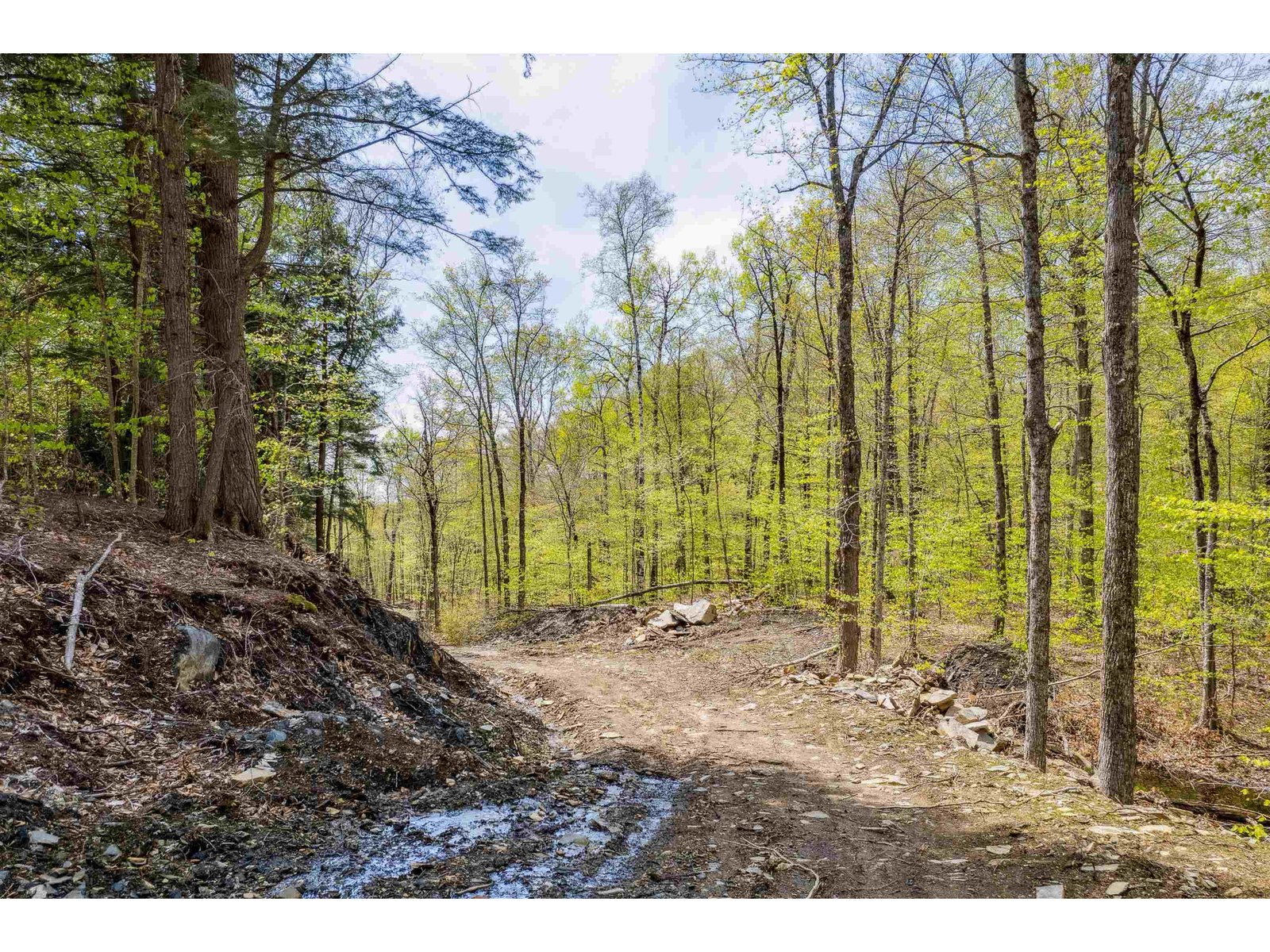 00 Chapel Hill Road