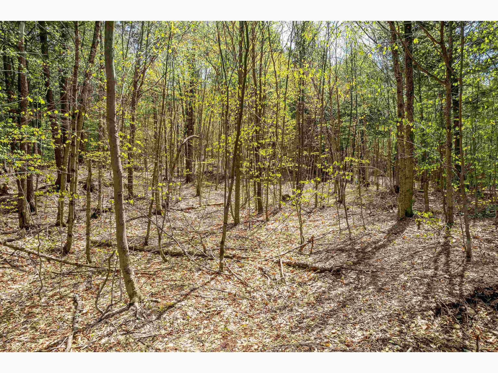 00 Chapel Hill Road