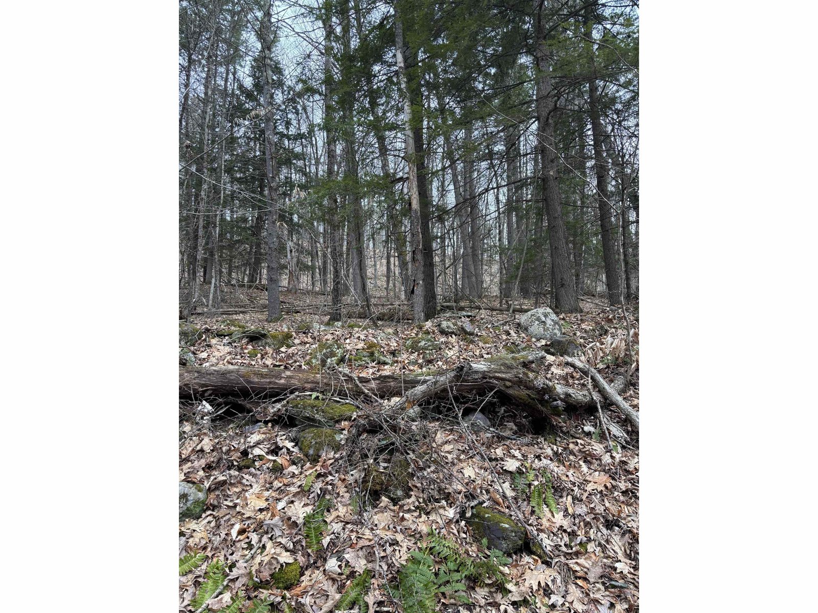 Gleason land 2