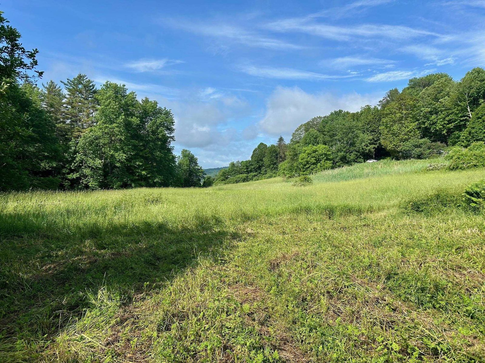 Dairy Hill Side