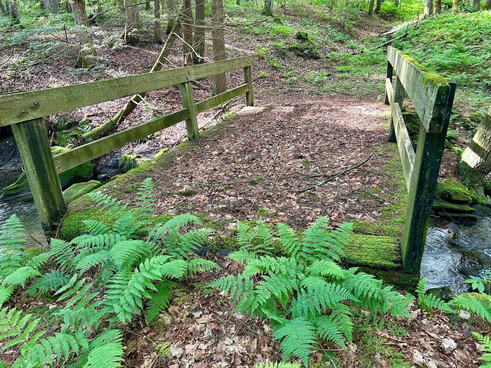 Bridge over small stream