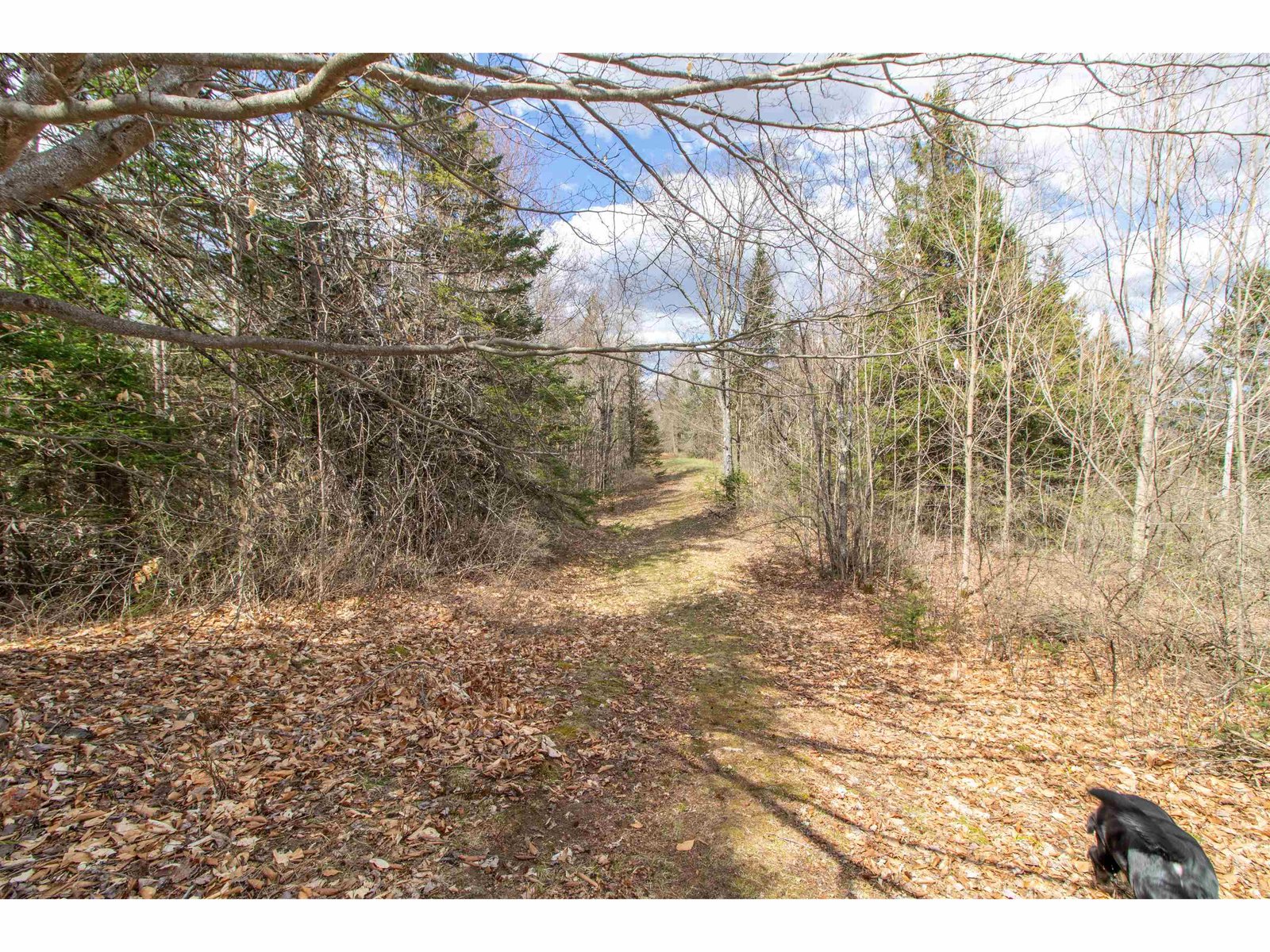 00 Darling Hill Road