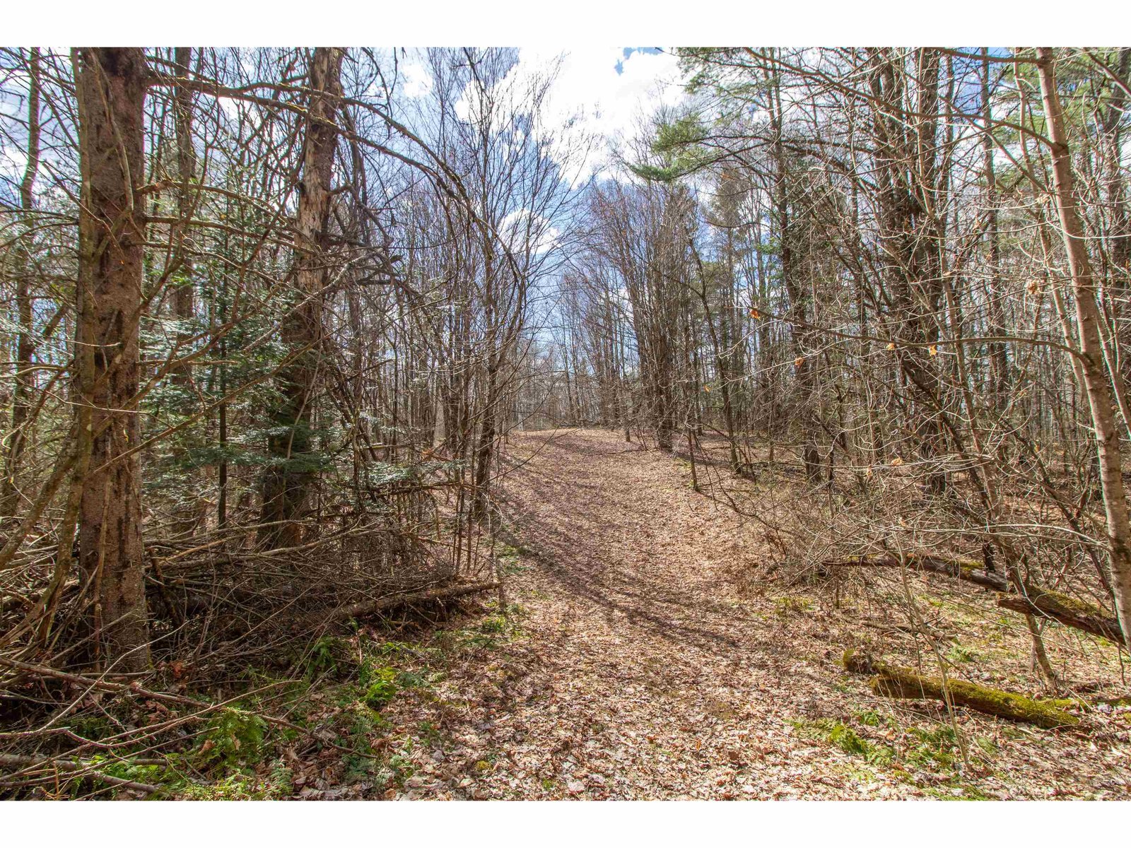 00 Darling Hill Road