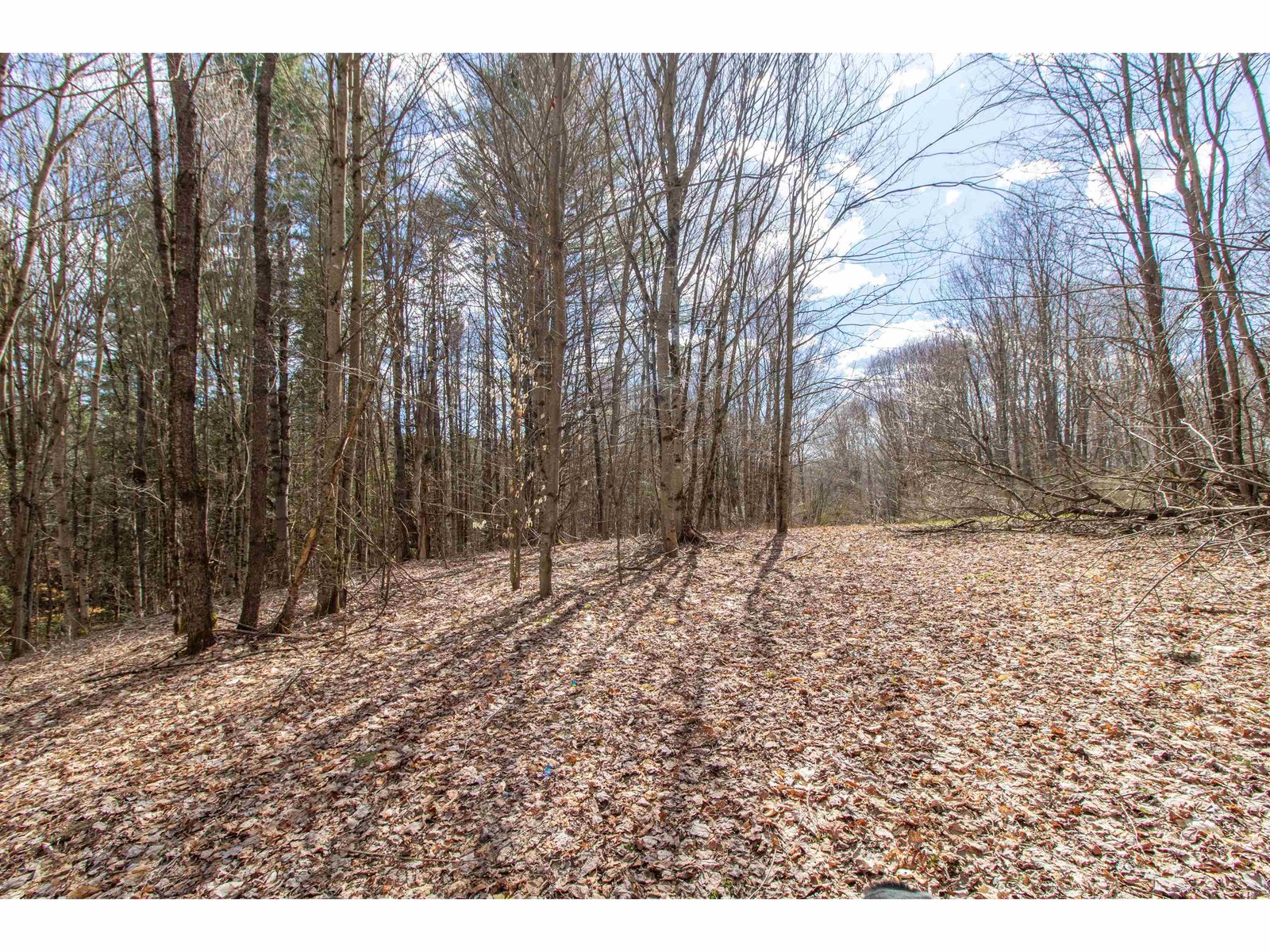 00 Darling Hill Road
