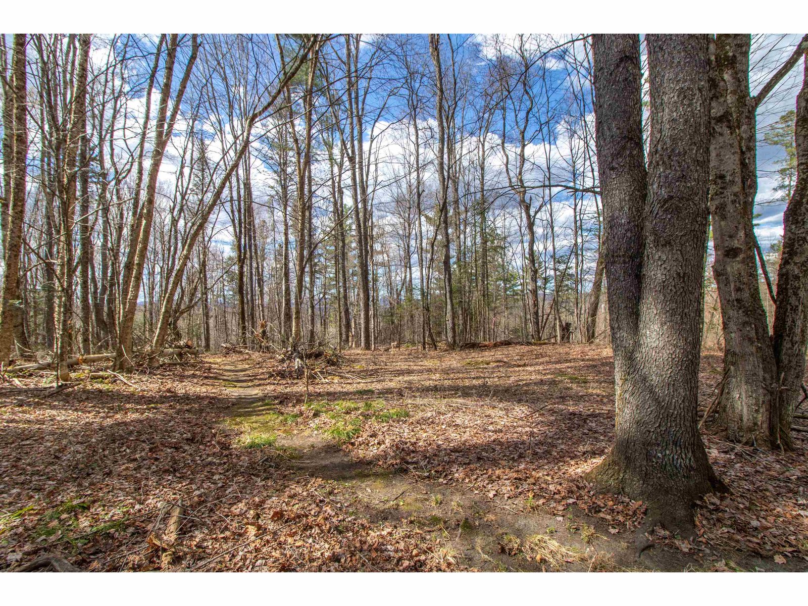 00 Darling Hill Road