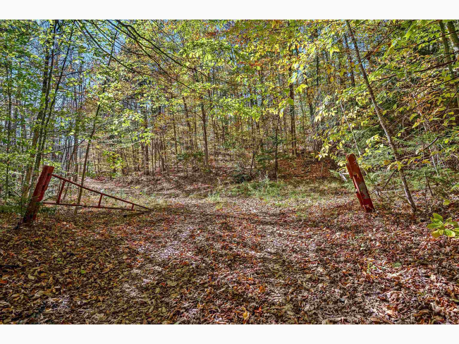 00 Devil's Washbowl Road