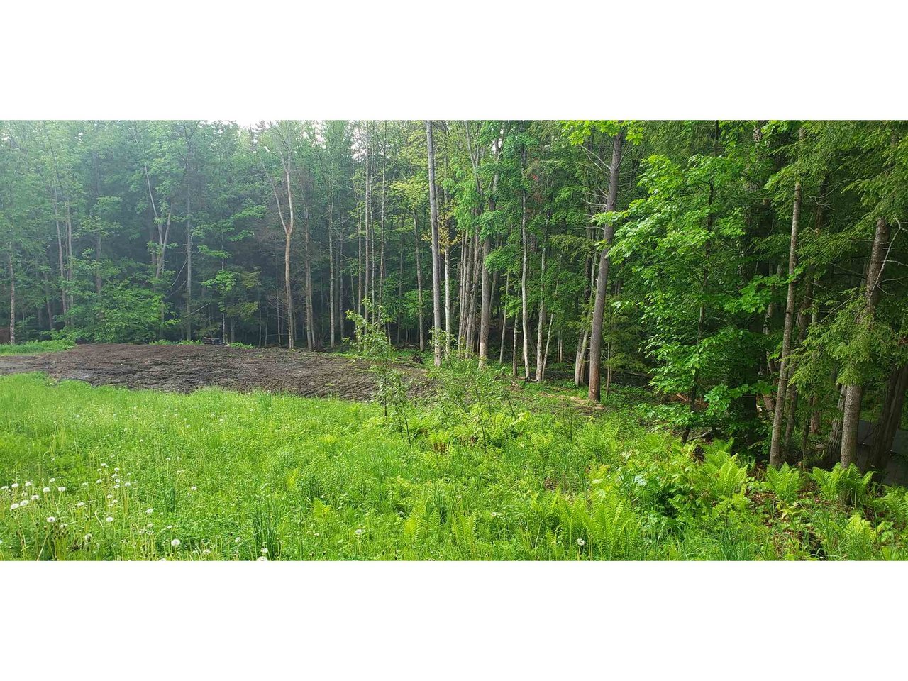 00 Dexter Mountain Road