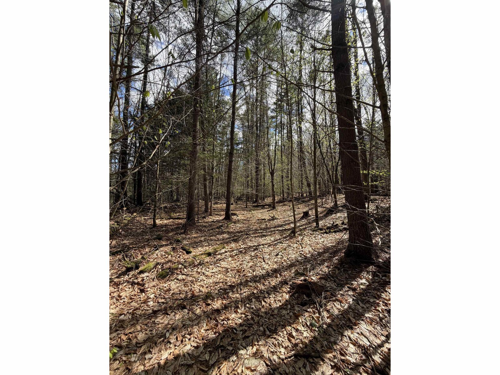 00 Dothan Road