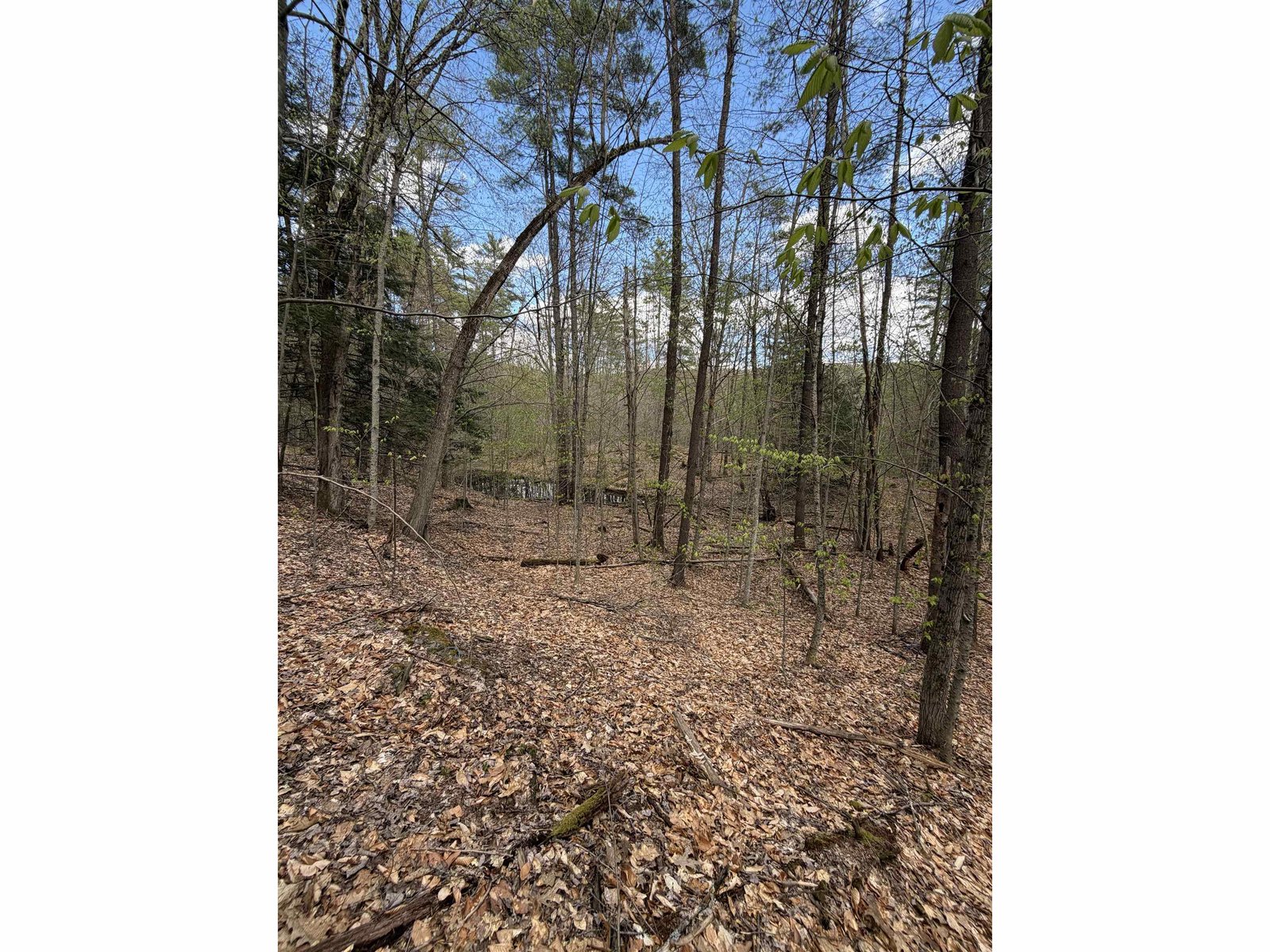 00 Dothan Road