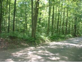00 East Munger  Cobble Rd-Lot#4