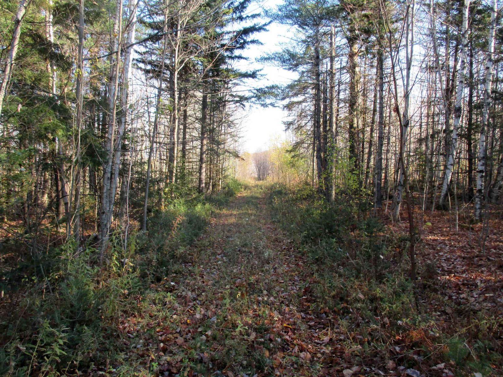 00 Farm Road