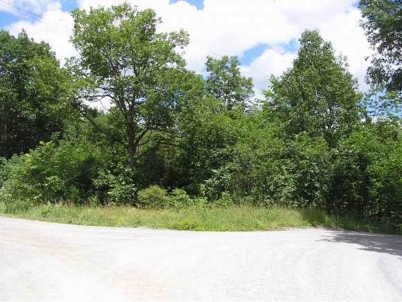 00 Fuller Mountain Rd