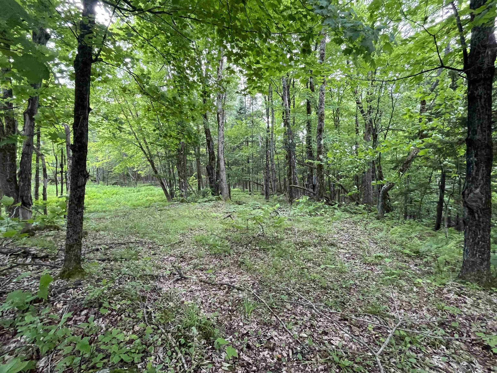 00 Guyette Road