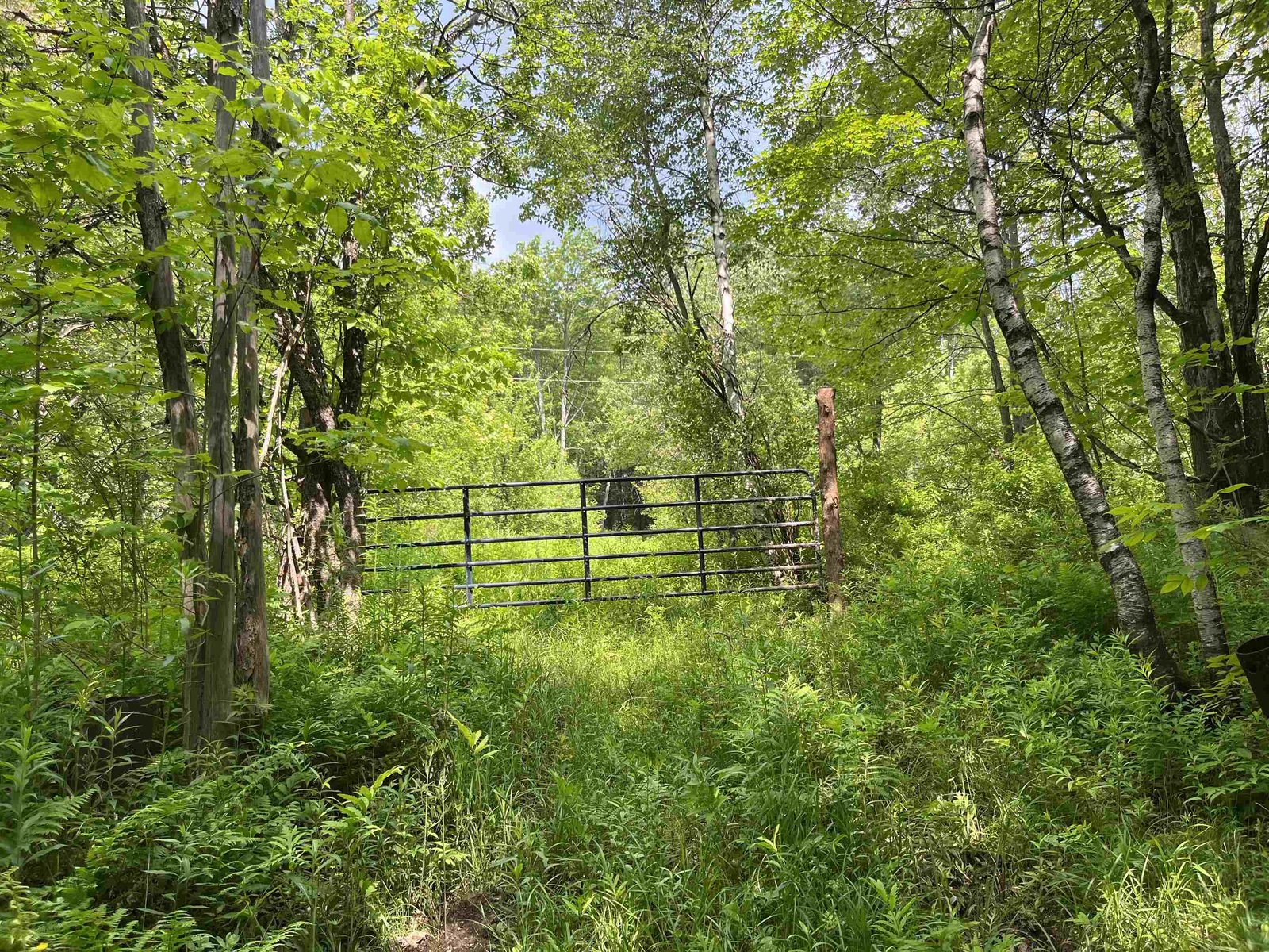 00 Guyette Road
