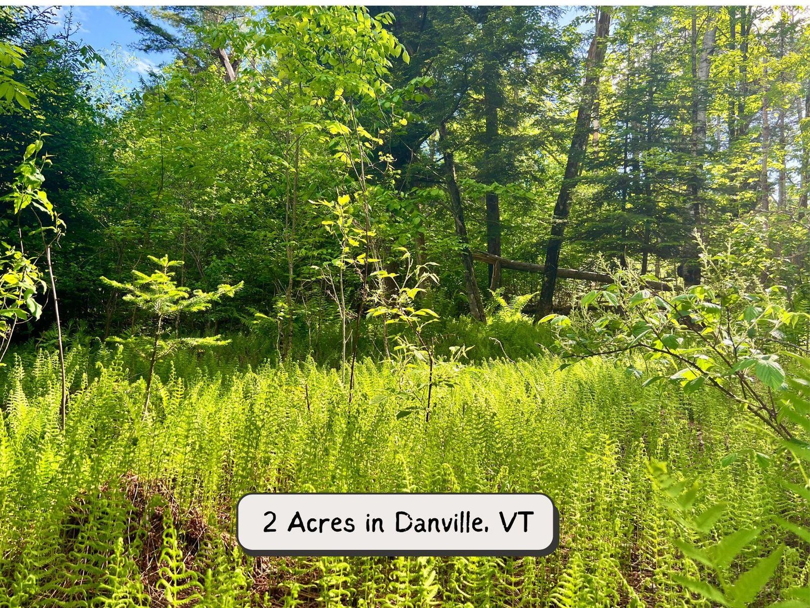 00 Hawkins Road, Danville