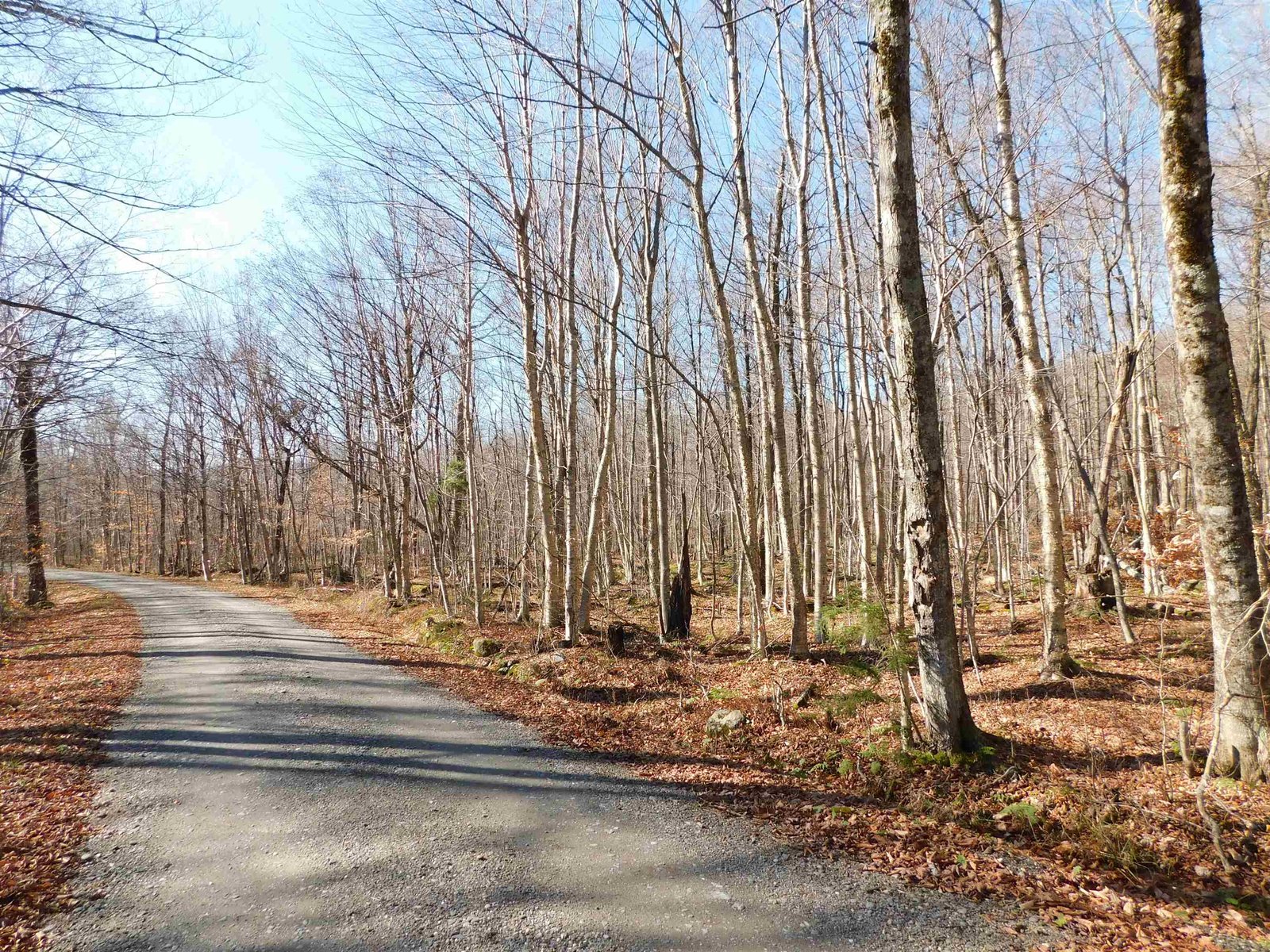 00 Highland Drive