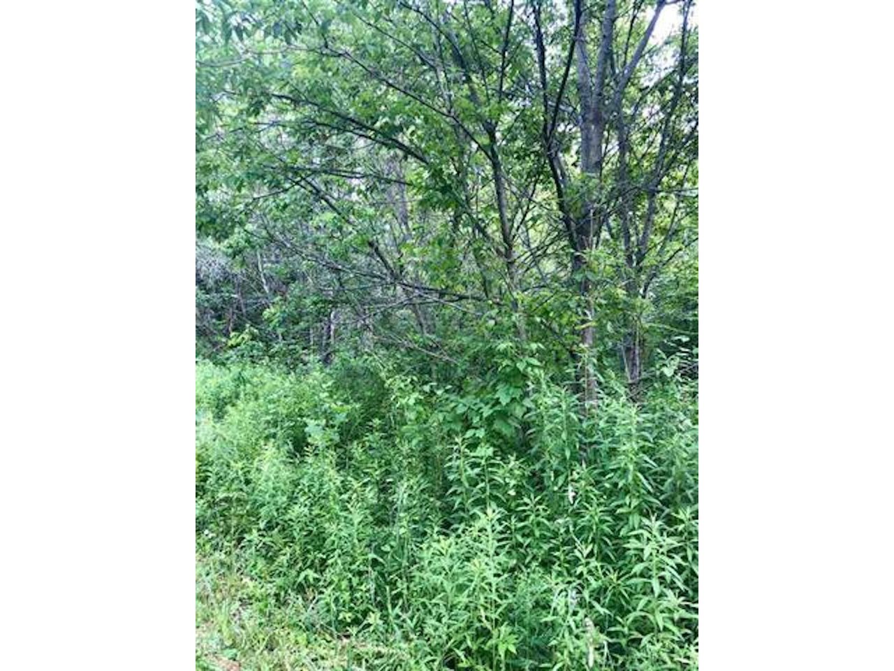 00 Hillside Avenue
