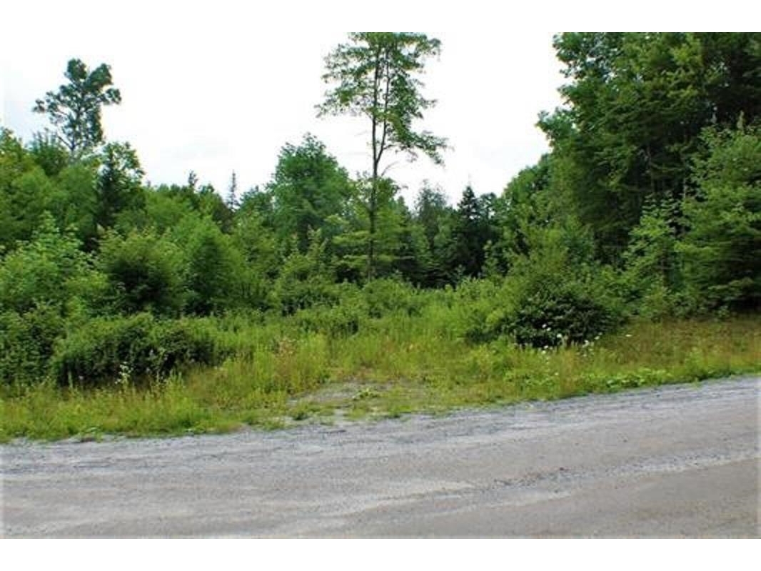 00 Holt Road