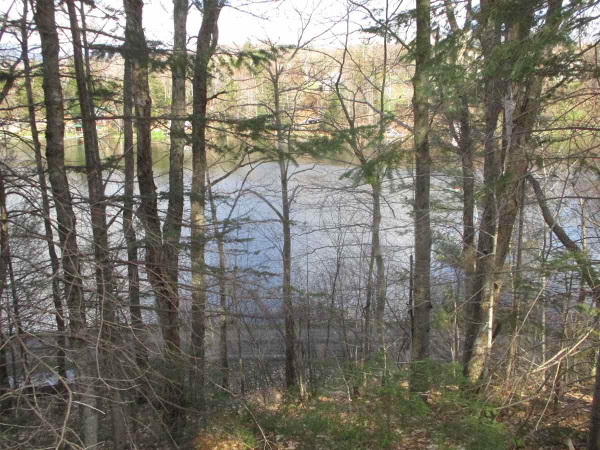 00 Lake Shore Road