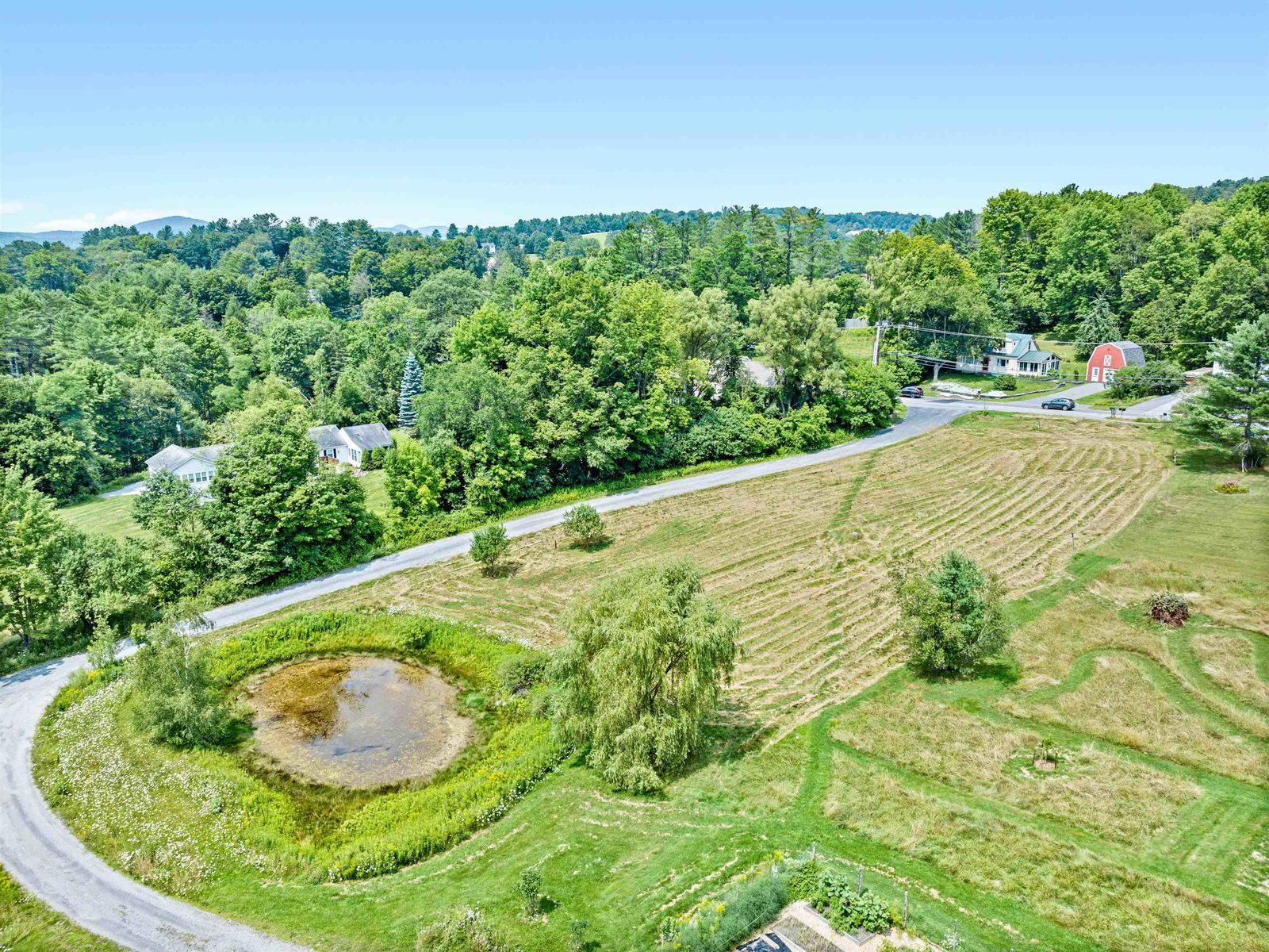 00 Leap Frog Hollow