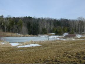 00 Lewis Rd
