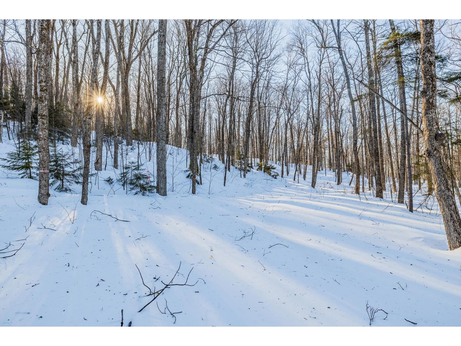 00 Long Hill Road, Woodstock