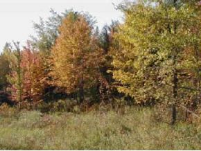 00 Maple Hill Road