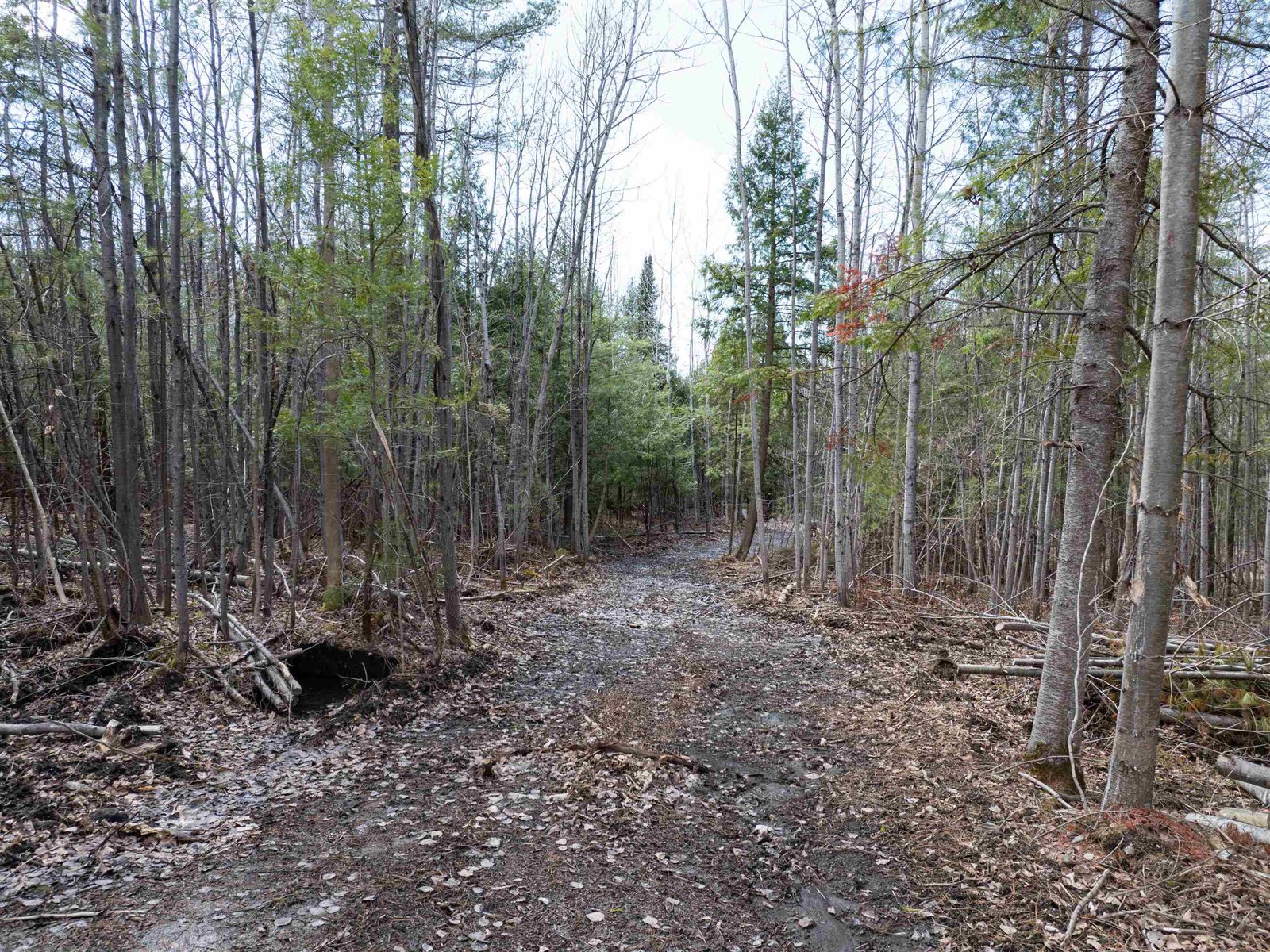 00 Middle Road
