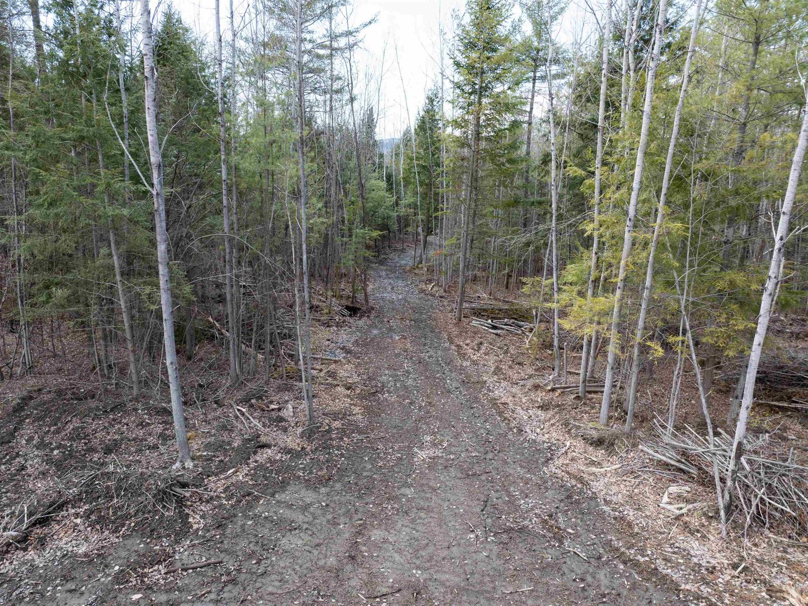 00 Middle Road