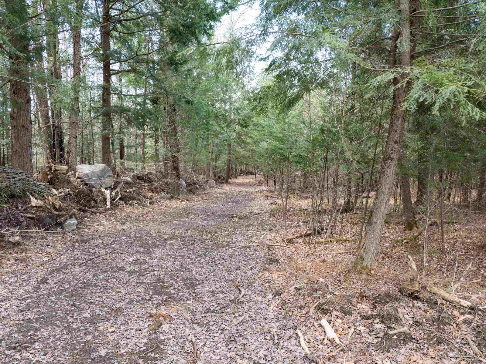 00 Middle Road