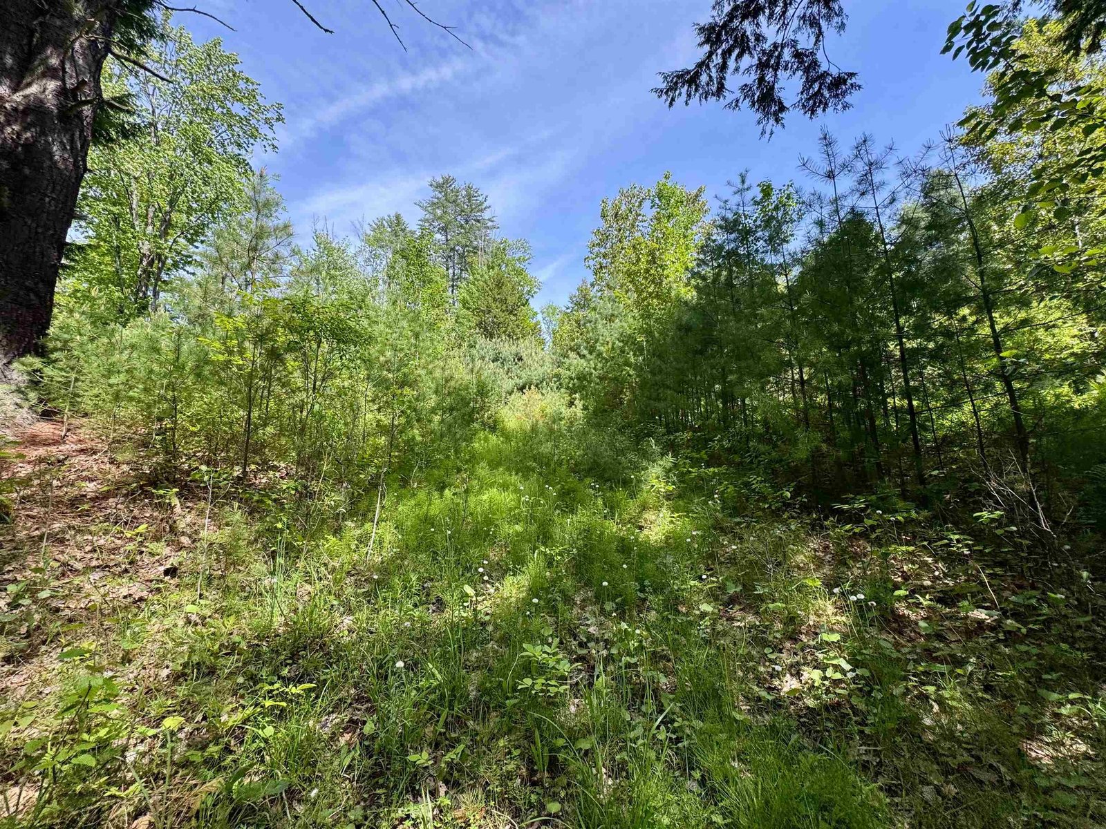 00 Mink Hill Road