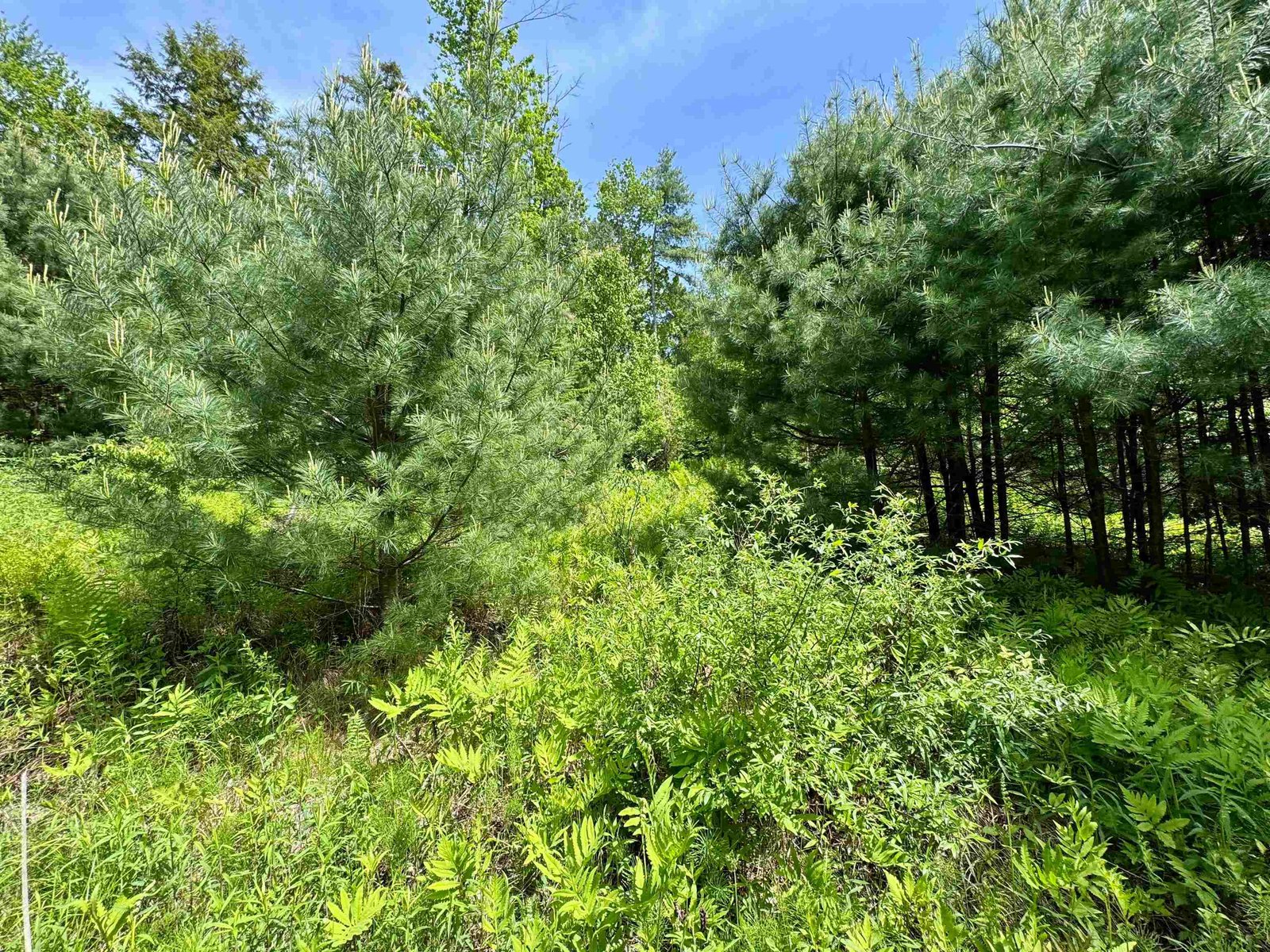 00 Mink Hill Road