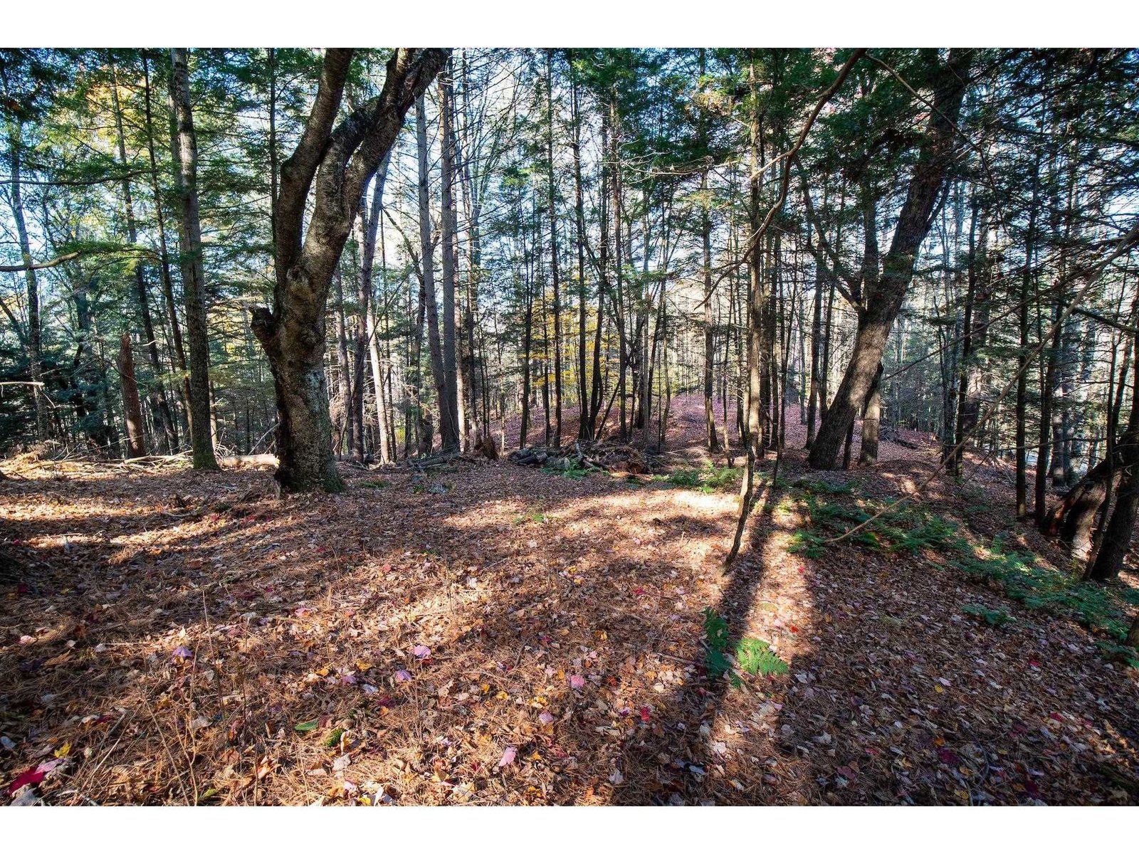 00 Moretown Common Road