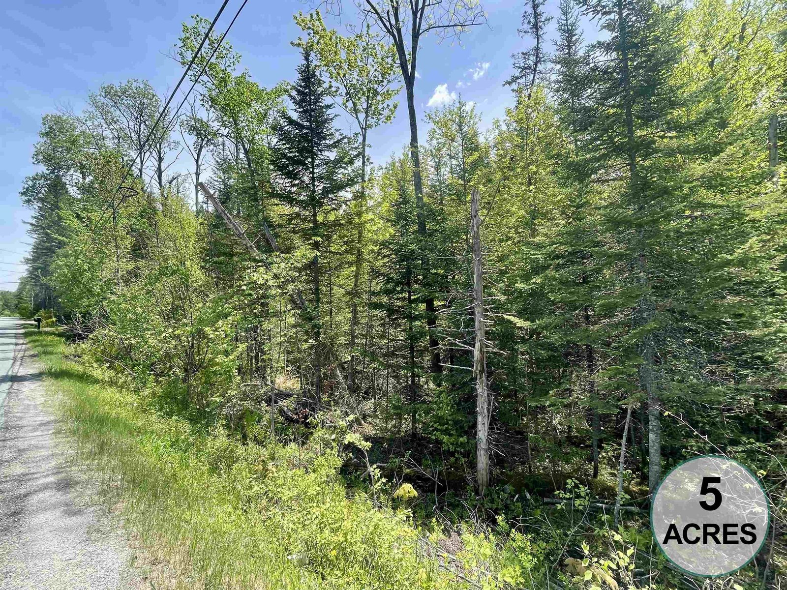 00 Mountain Road, Burke