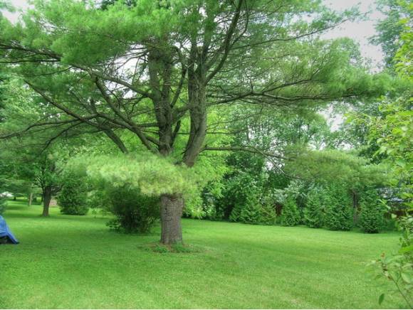 00 Mt. Philo Road, Lot 2A