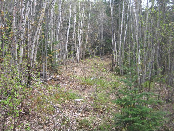 00 North Bear Swamp Road