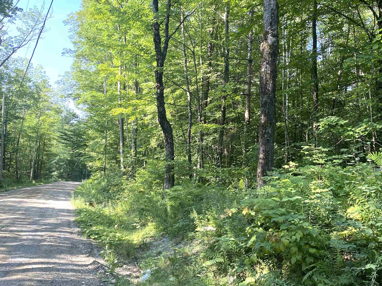 00 North Branch Road