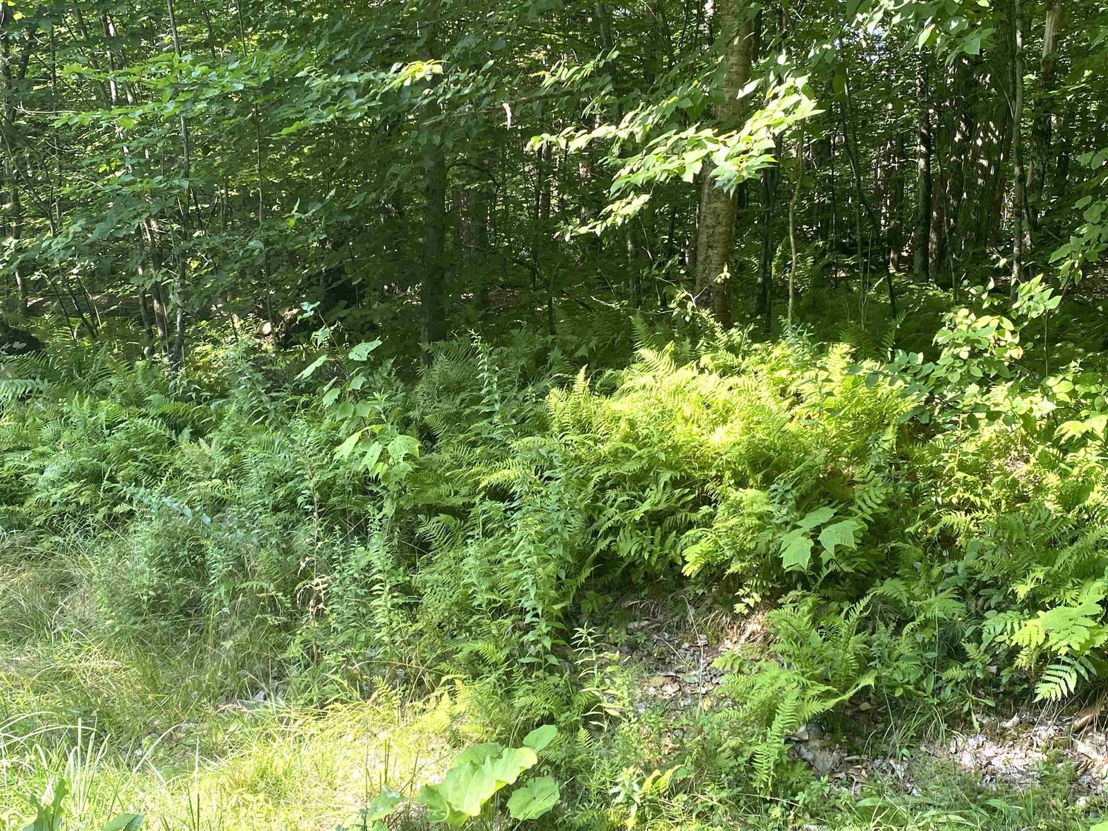 00 North Branch Road