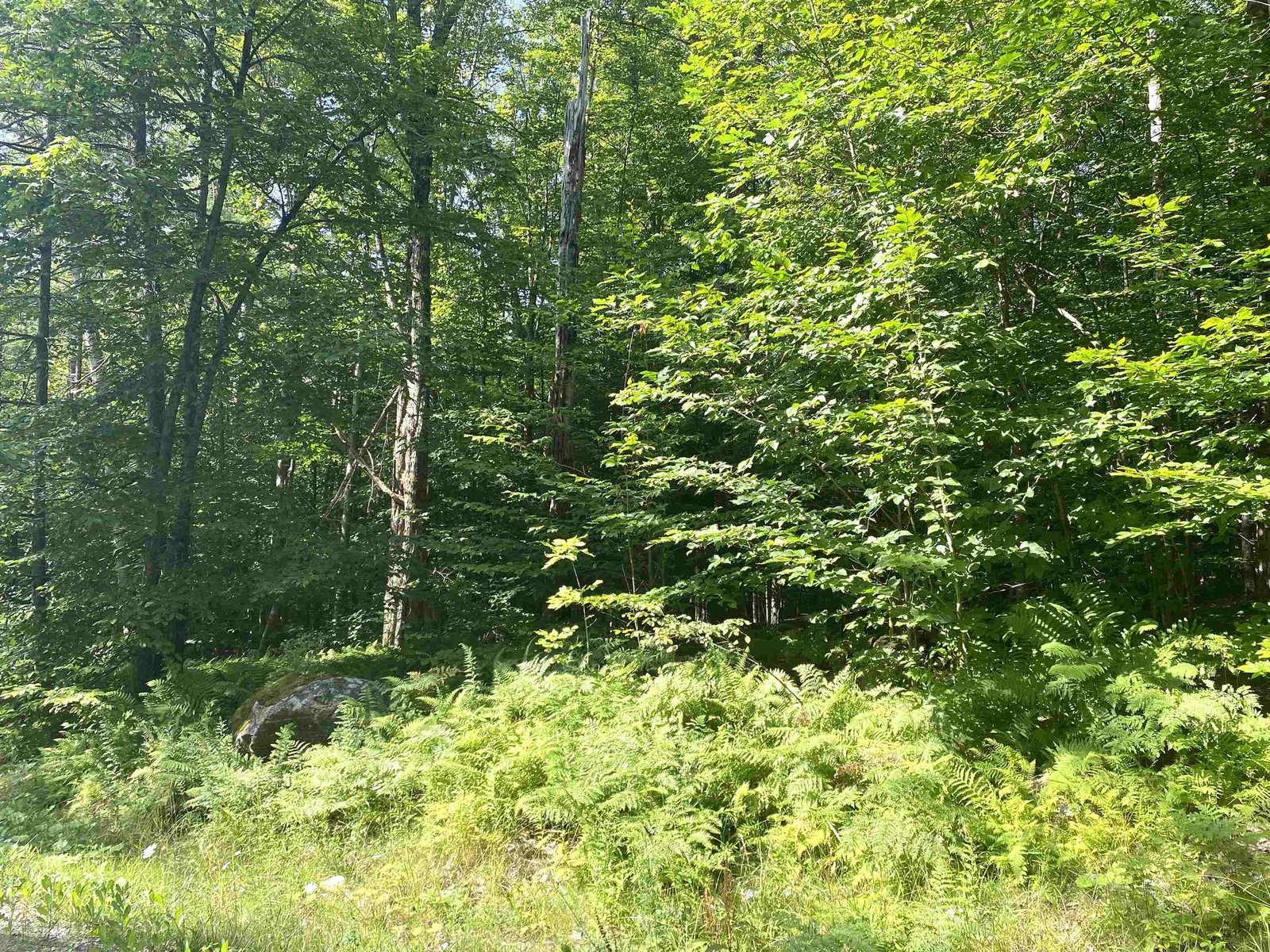 00 North Branch Road