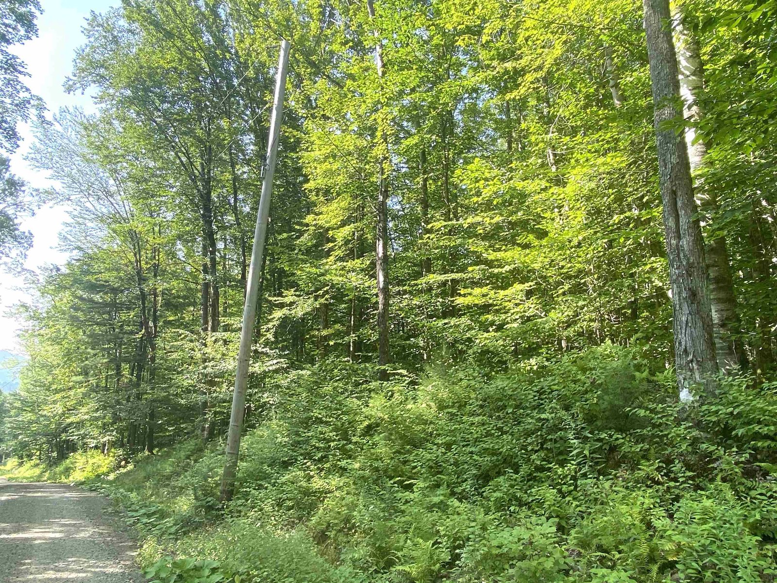 00 North Branch Road