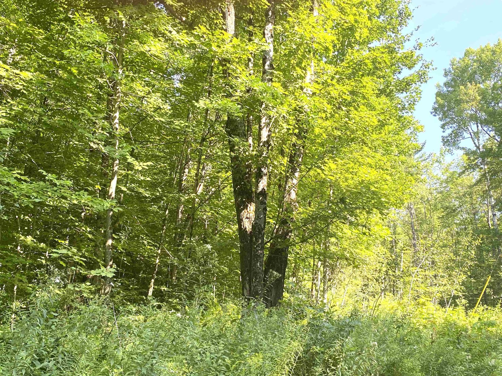 00 North Branch Road