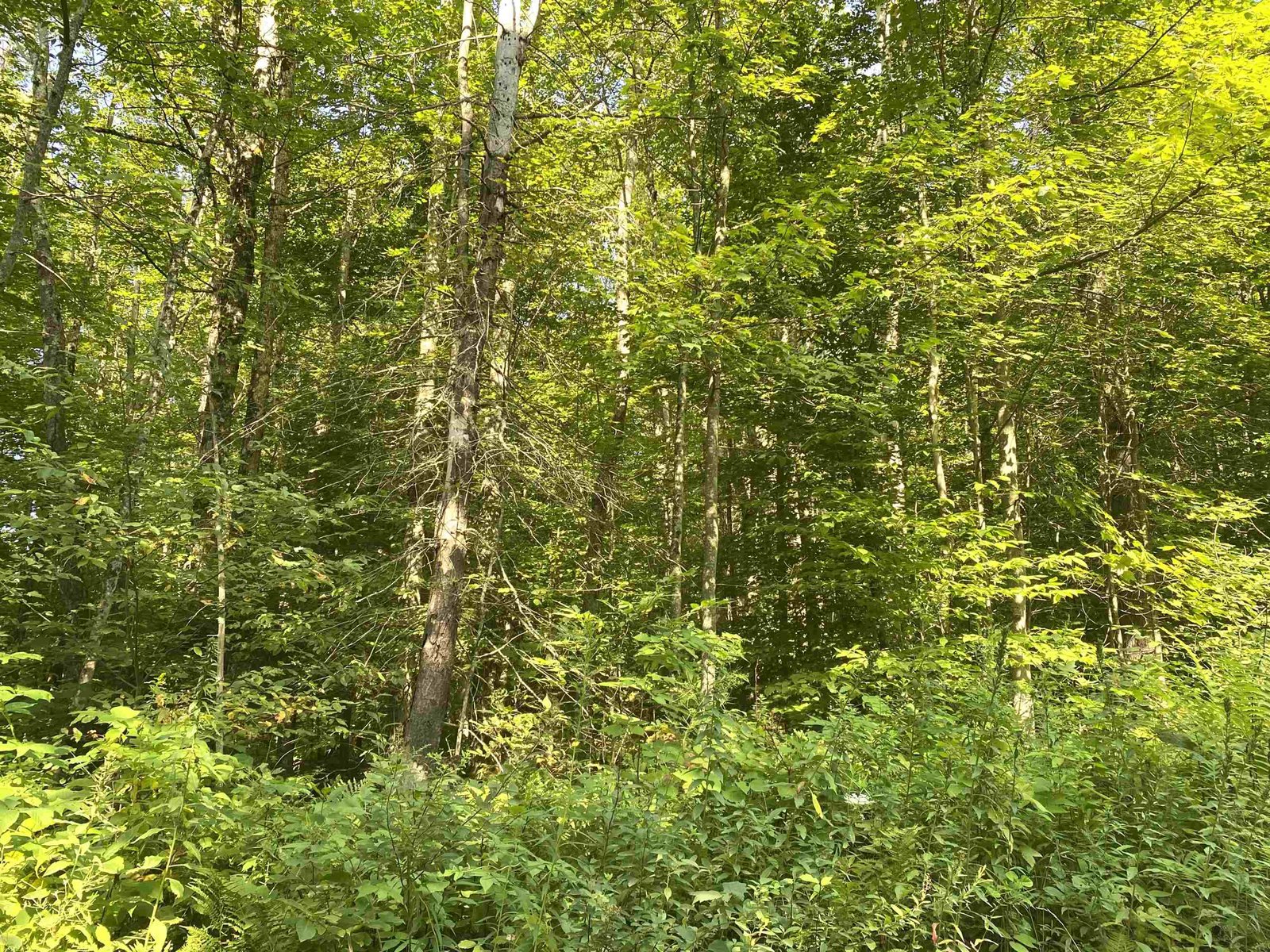 00 North Branch Road