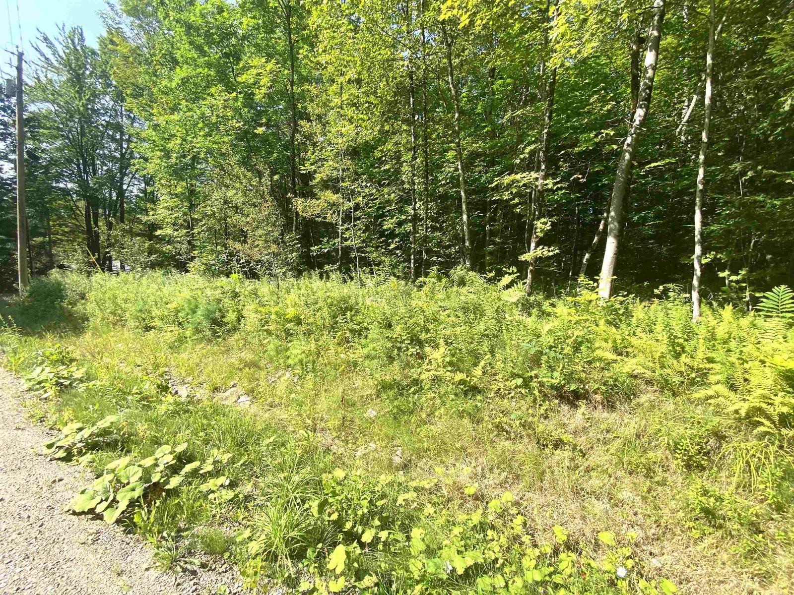 00 North Branch Road