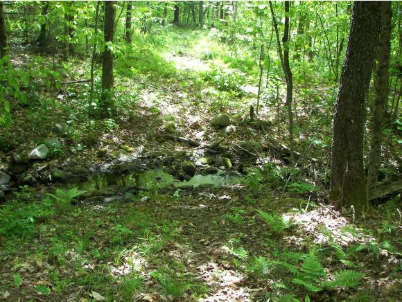 00 Off driveway of 2126 Goshen Ripton Rd