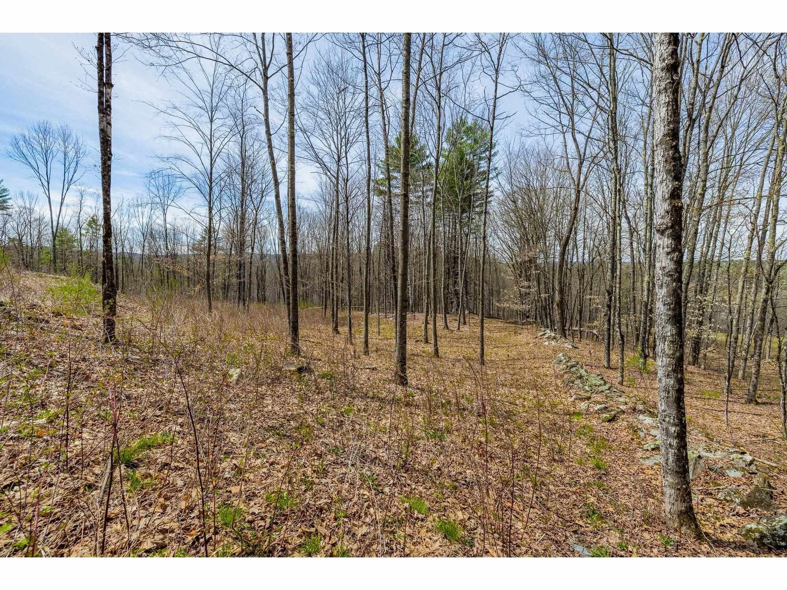 00 Olcott Road