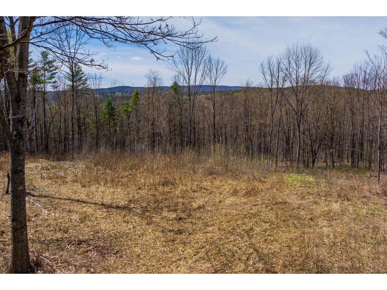 00 Olcott Road