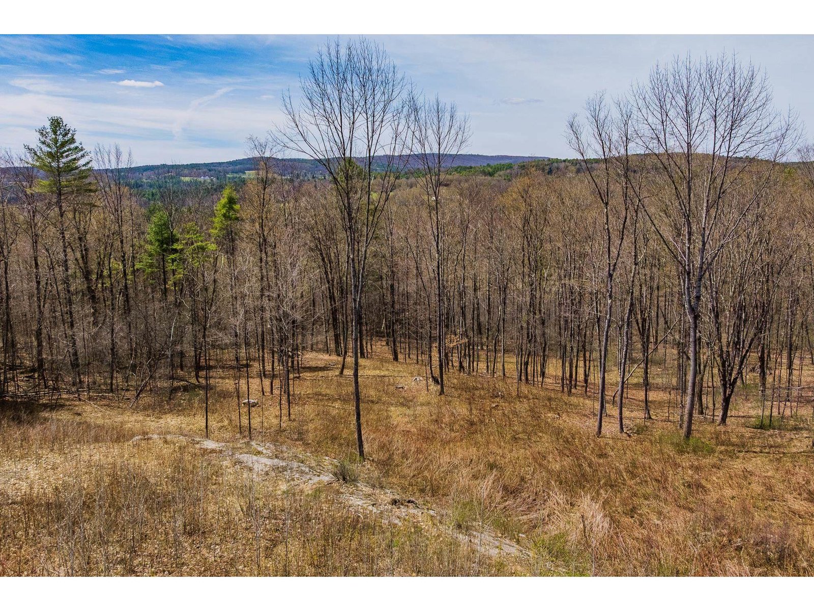 00 Olcott Road